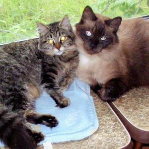 Meet your Posher, Jo-anne